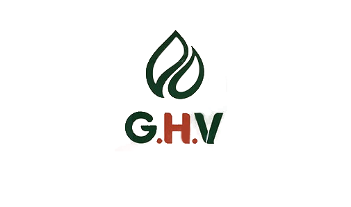 SV IMG 6
